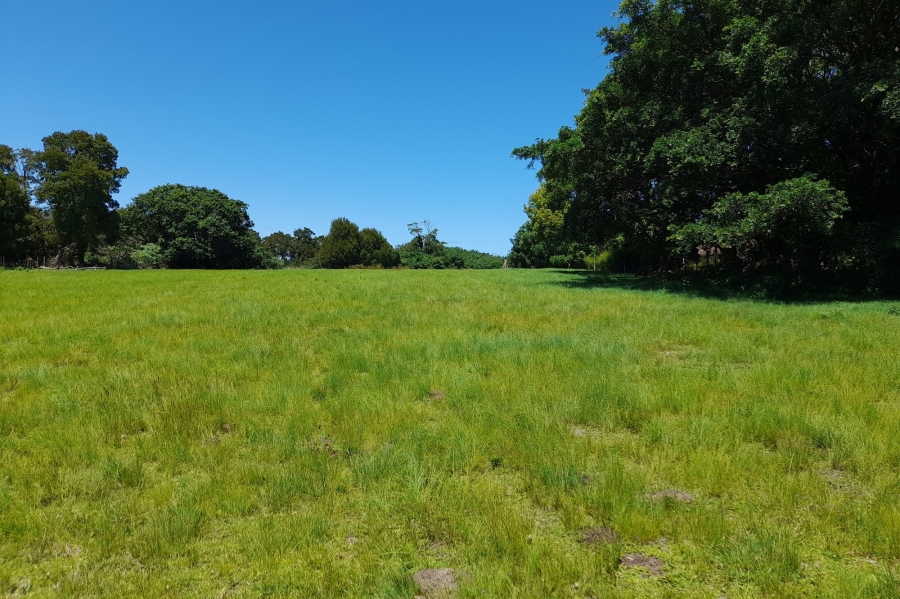 6 Bedroom Property for Sale in Wilderness Heights Western Cape